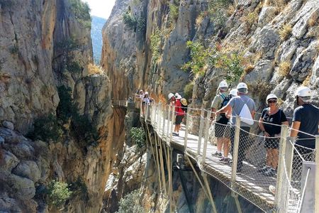 Caminito del Rey group walking tour