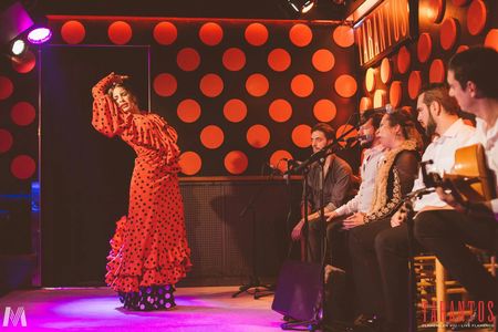 Flamenco show and tapas dinner