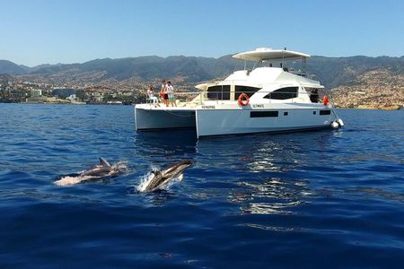 Dolphin and whale watching in Funchal with luxury catamaran all inclusive