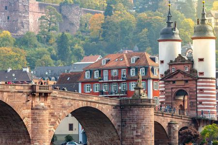 Heidelberg private walking tour with castle visit
