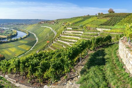 Neckar valley Segway tour