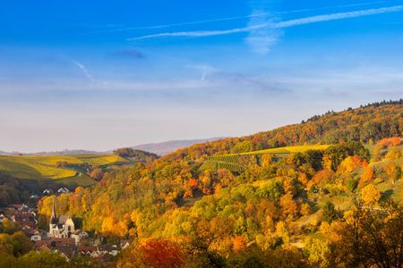 Segway tour to Tromm mountain