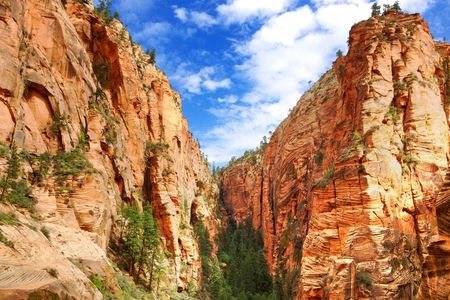 Zion Canyon south rim private tour