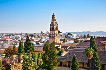 Full day trip to Córdoba from Seville