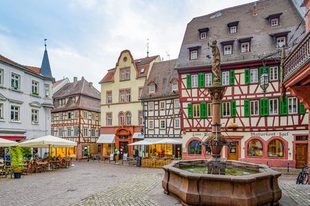 Self-balancing scooter tour from Ladenburg to Weinheim