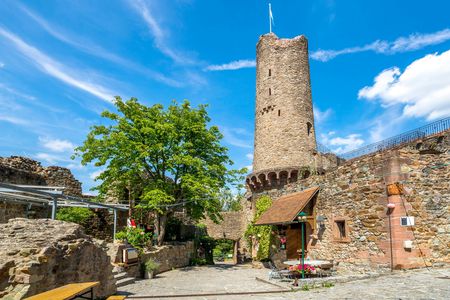 Self-balancing scooter tour to Windeck Castle in Weinheim