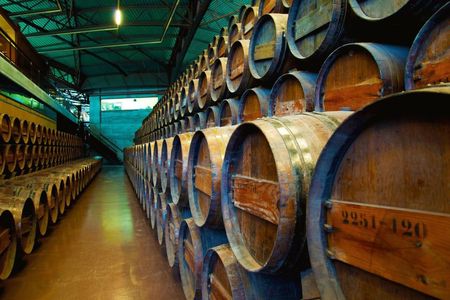 Arrabida and Bacalhoa private tour with wine tasting from Lisbon