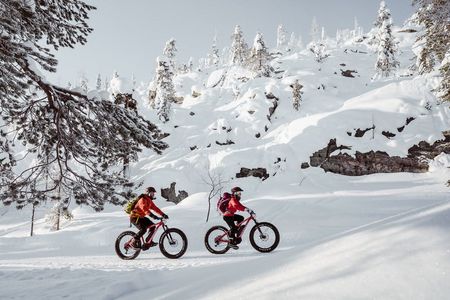 Visit Pyhä-Luosto National Park by electric fat bike