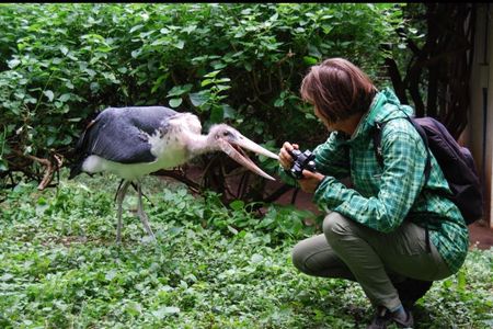 Makoa Farm Wildlife Rehabilitation Centre tour from Kilimanjaro