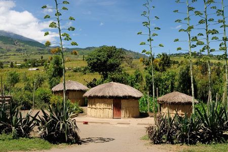 Ng'iresi village visit by the Kilimanjaro