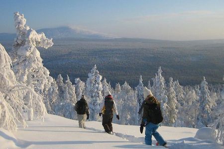 Highlights of Rovaniemi full-day tour B