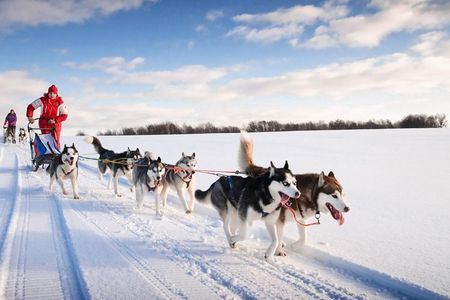 20km Husky sleigh ride adventure