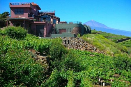 Bodegas Monje – Visit and Winetasting