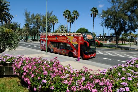 Hop-On Hop-Off Las Palmas de Gran Canaria 24hr Bus