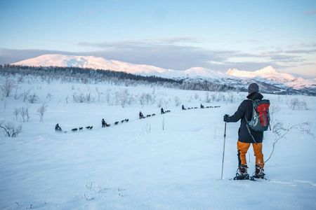Guided snowshoe hike