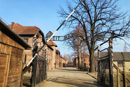 Auschwitz Birkenau and Wieliczka Salt Mine in one day from Krakow