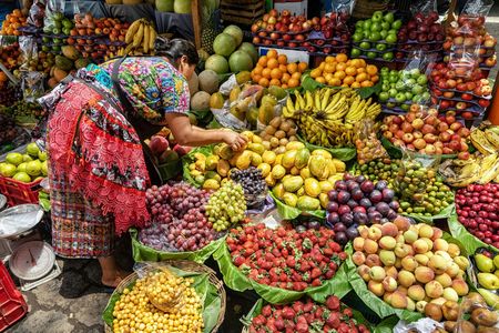 The flavors of Mumbai full-day tour