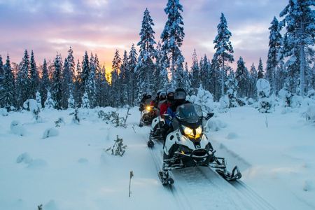 Snowmobile adventure to reindeer and husky farm