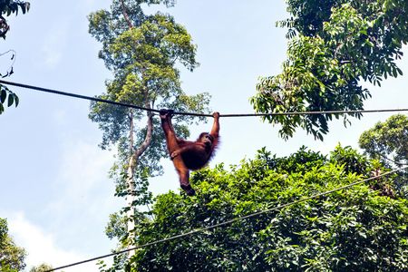 Makoa Farm Wildlife Rehabilitation Centre from Arusha