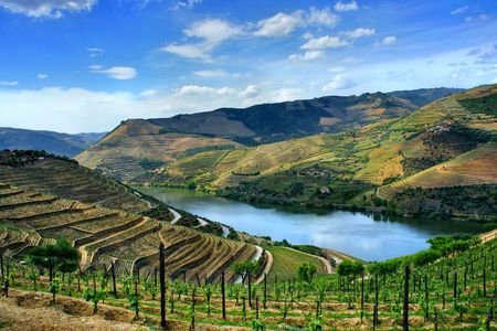 Douro Valley day tour from Porto with lunch, wine tasting, and cruise