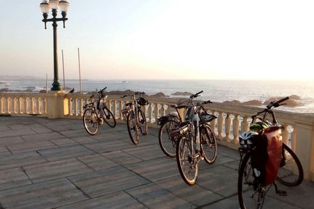 E-bike Porto downtown tour