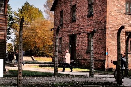 Auschwitz-Birkenau Museum guided tour