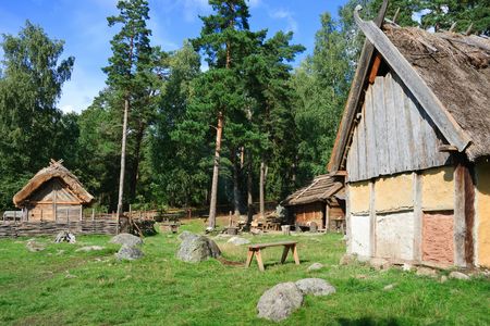 Viking era private excursion