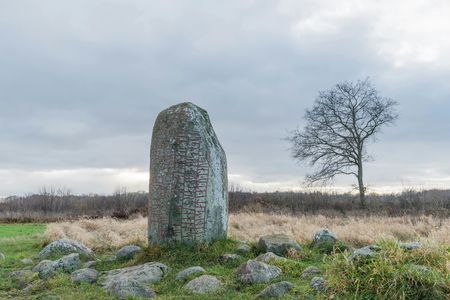 Private Iron Age history tour from Stockholm