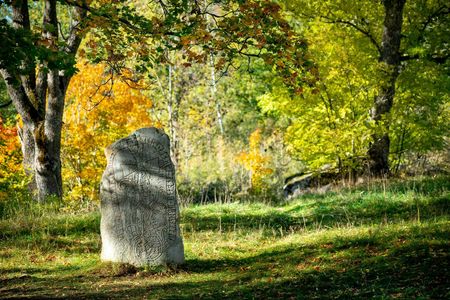 Private Viking history half-day tour