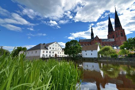 Viking history 3-hour public tour