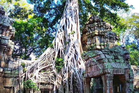 Private 4-day Angkor Temple Complex and local life style tour