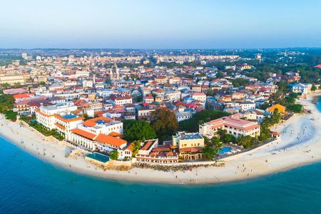Zanzibar historic Stone Town and Jozani Forest private tour
