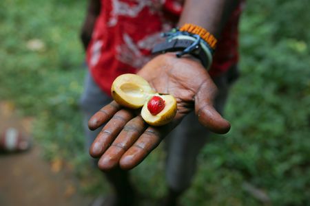 Zanzibar spice plantation, cave, and village adventure private tour