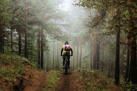 Mountainbike adventure in the Swedish forest