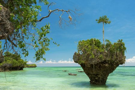 Zanzibar Uzi Island private tour