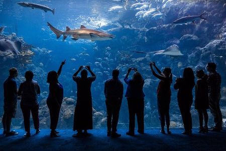 Tickets to ZooQuarium in Tampa