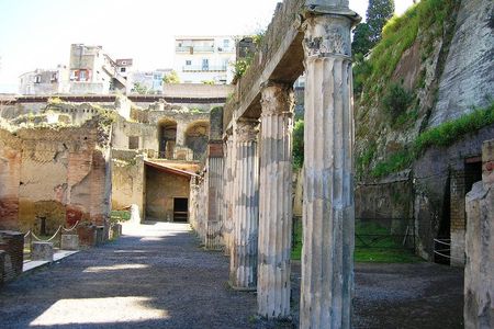 Herculaneum guided tour with an archeologist