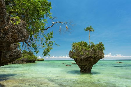 Zanzibar Uzi Island and Muyuni village private tour
