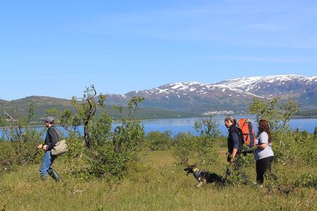 Enjoy a husky trekking trip