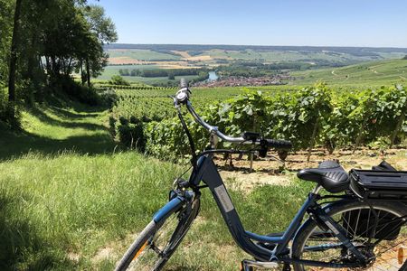 Full-day E-bike Tour in Champagne with Lunch