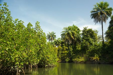 Makasutu Culture Forest full-day tour