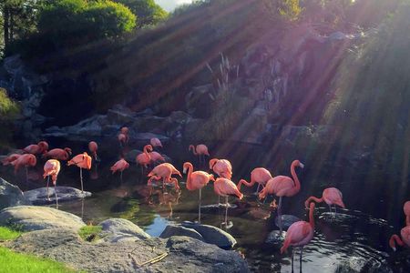 Buenos Aires Bioparque Temaiken ticket with transfer