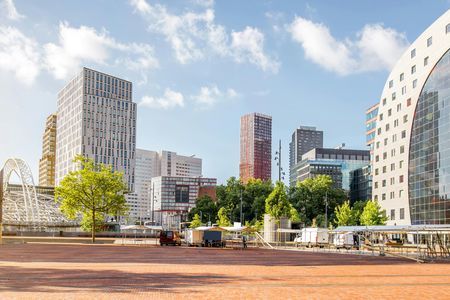 Rotterdam highlights 3-hour bike tour