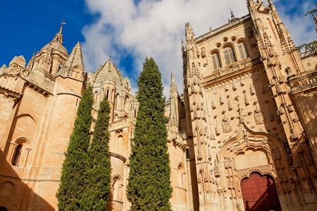 Full-day tour to Avila and Salamanca from Madrid