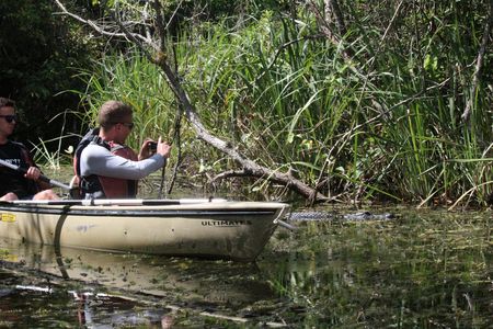 Everglades National Park mangrove tunnel kayak eco-tour