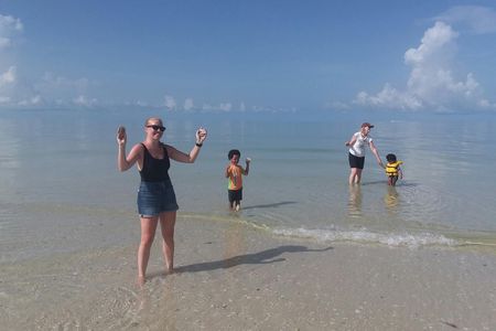 Marco Island dolphin and shelling boat tour