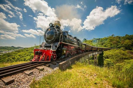 Wine tour  with train and Italian Epic Park
