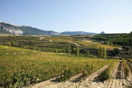 Winery Visit in La Rioja from Pamplona with Tasting and Lunch