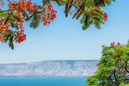 Galilee, Nazareth tour from Jerusalem