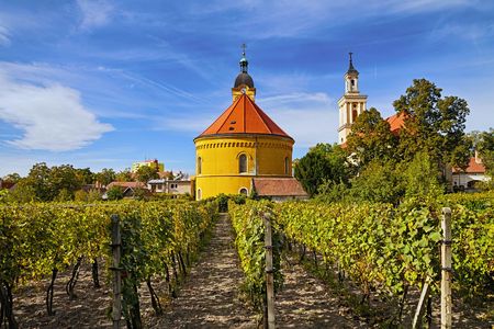 Small Carpathian wine tour from Bratislava
